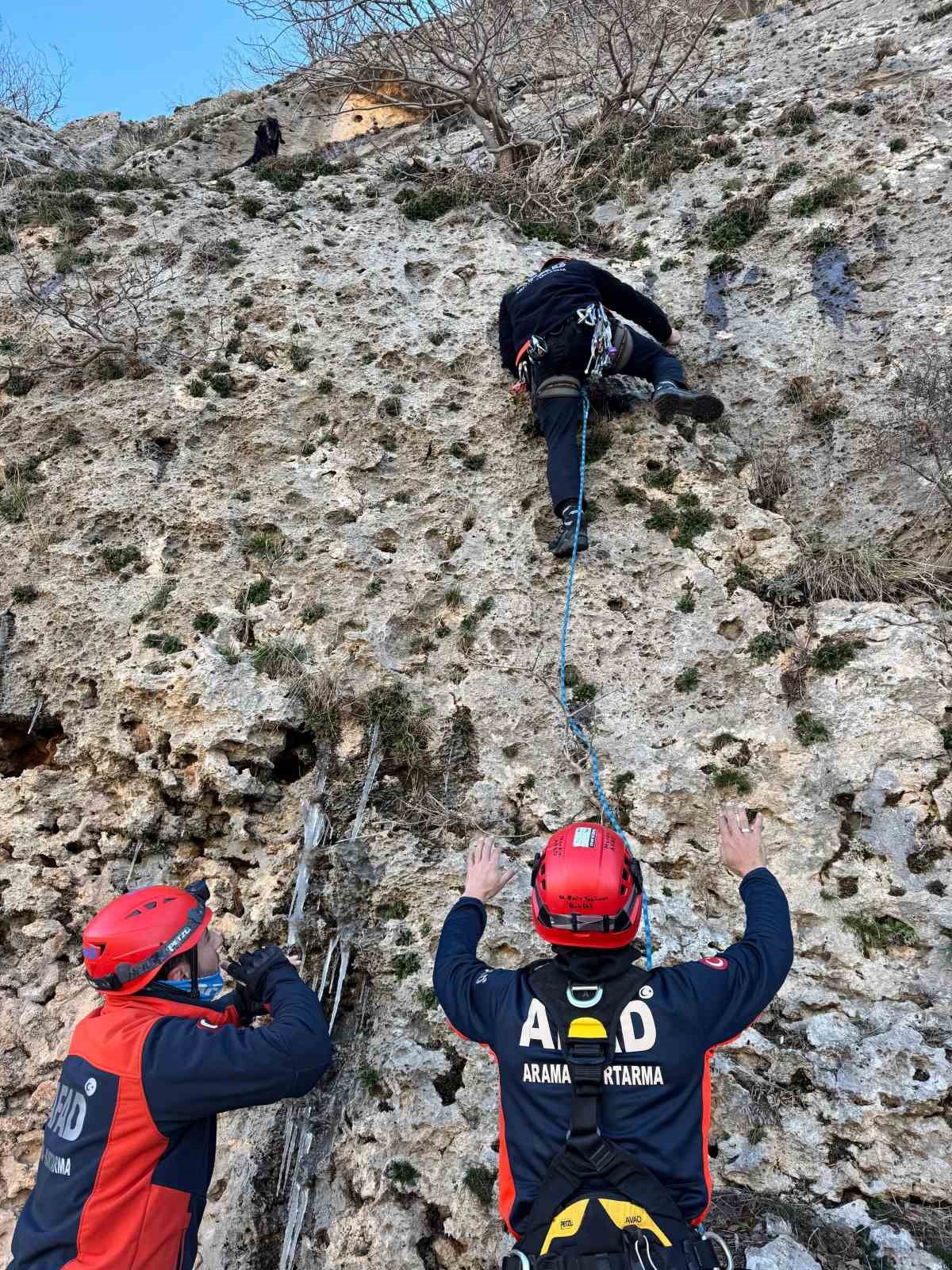 Mardin’de dağda mahsur kalan keçiyi AFAD ekipleri kurtardı