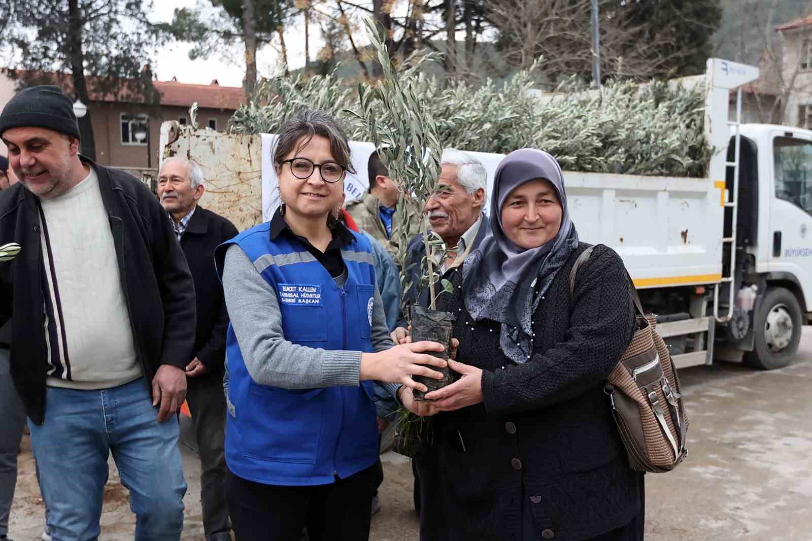 Ula&rsquo;da &uuml;reticiye zeytin ve ceviz fidanı desteği
