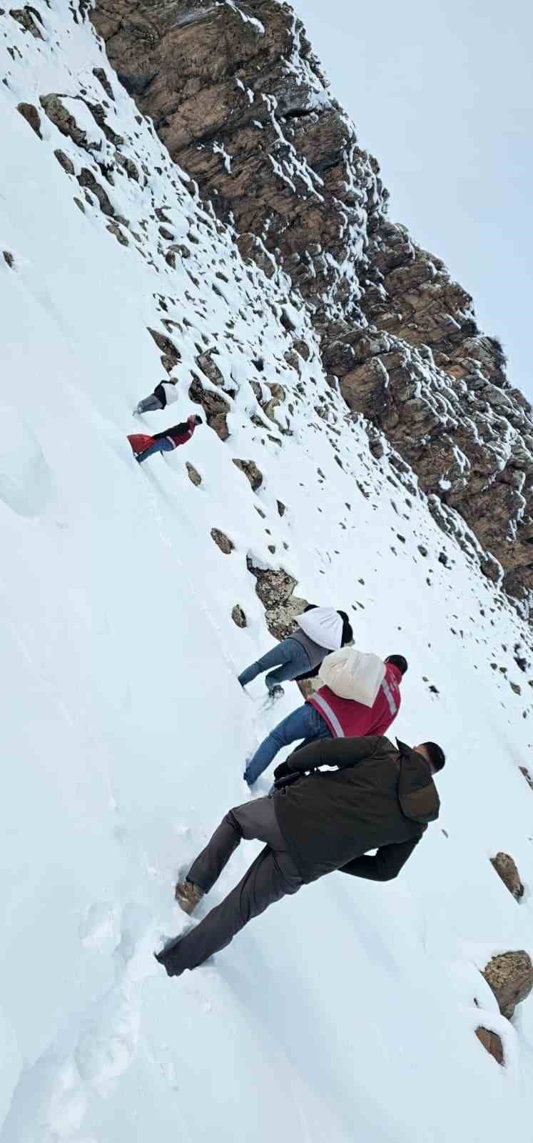 Muradiye’de yaban hayvanları için doğaya yem bırakıldı