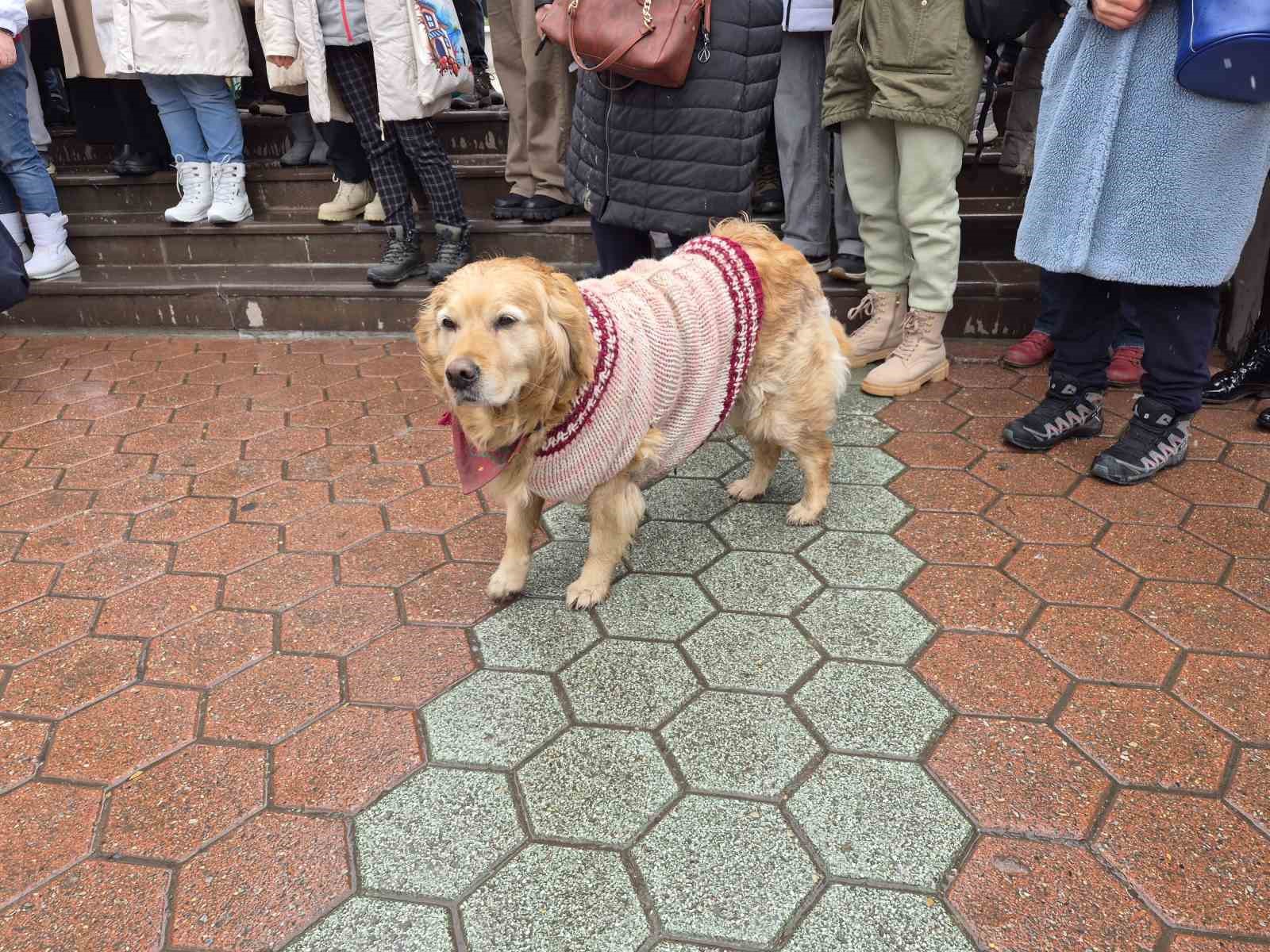 Hayvanseverler, Eskişehir Büyükşehir Belediyesi’nin önünde eylem yaptı