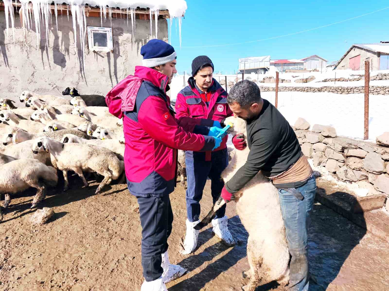 Beyaz esaretin i&ccedil;inde hayat kurtaran eller
