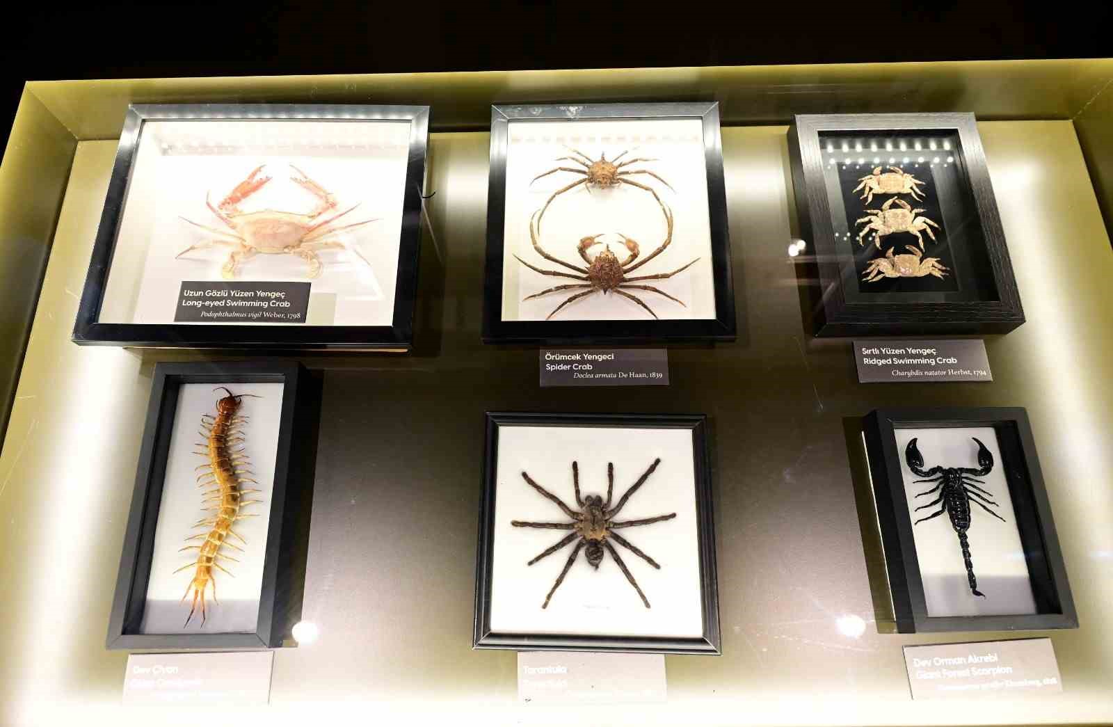 Anadolu’nun genetik hafızası bu müzede korunuyor