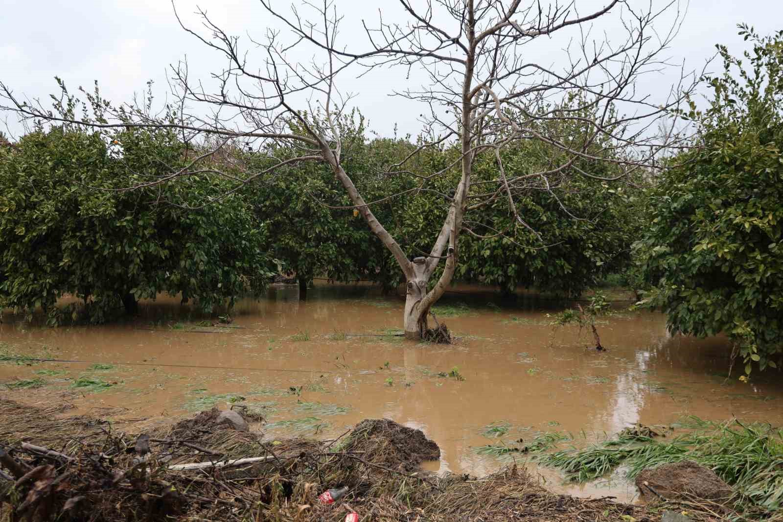 Kuşadası’nda bahçeler göle döndü, ağaçlar sular altında kaldı