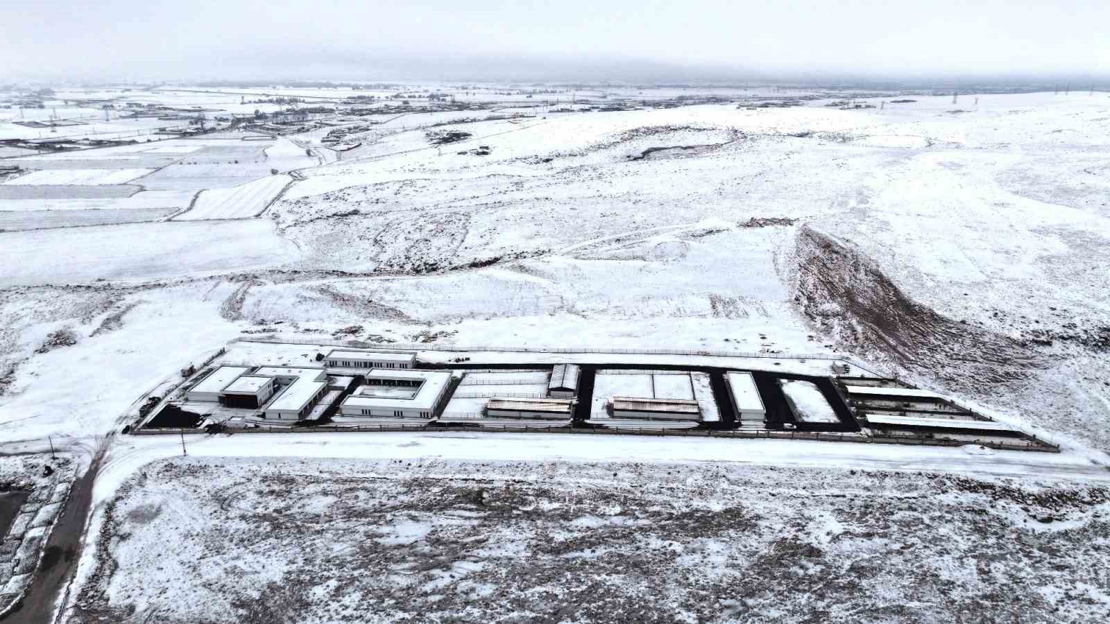 Başkan &Ccedil;olakbayrakdar: "Sevgiyle inşa ettik, sokak hayvanları i&ccedil;in sıcak bir yuva kurduk"
