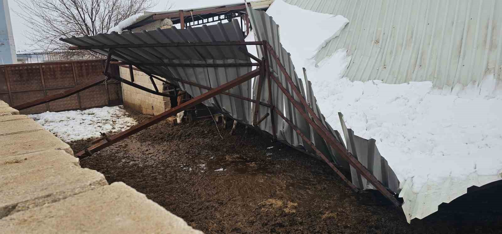 Gaziantep’te yoğun kar yağışı sonrası ahırın çatısı çöktü