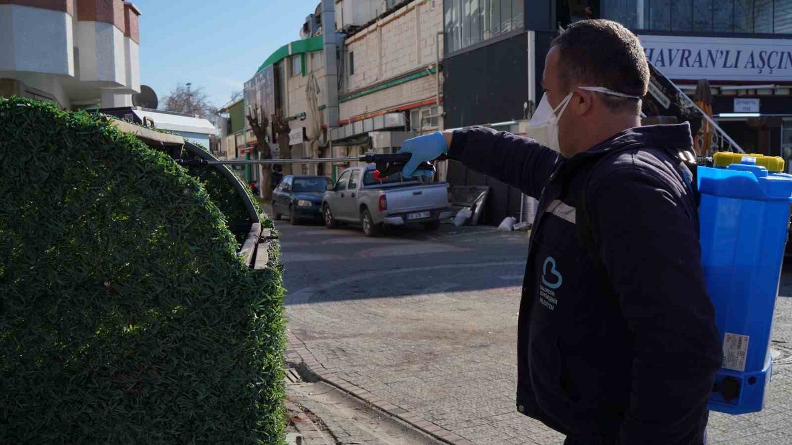 Balıkesir B&uuml;y&uuml;kşehir&rsquo;in haşerelere karşı m&uuml;cadelesi s&uuml;r&uuml;yor
