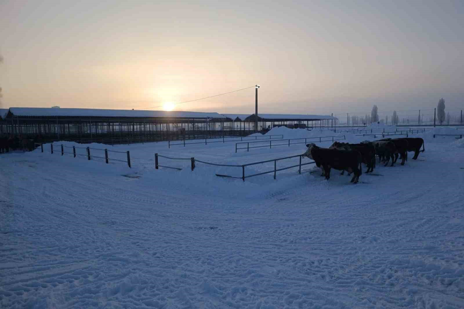 Türkiye’nin en büyük hayvan pazarı ağır kış şartları nedeniyle kapatıldı