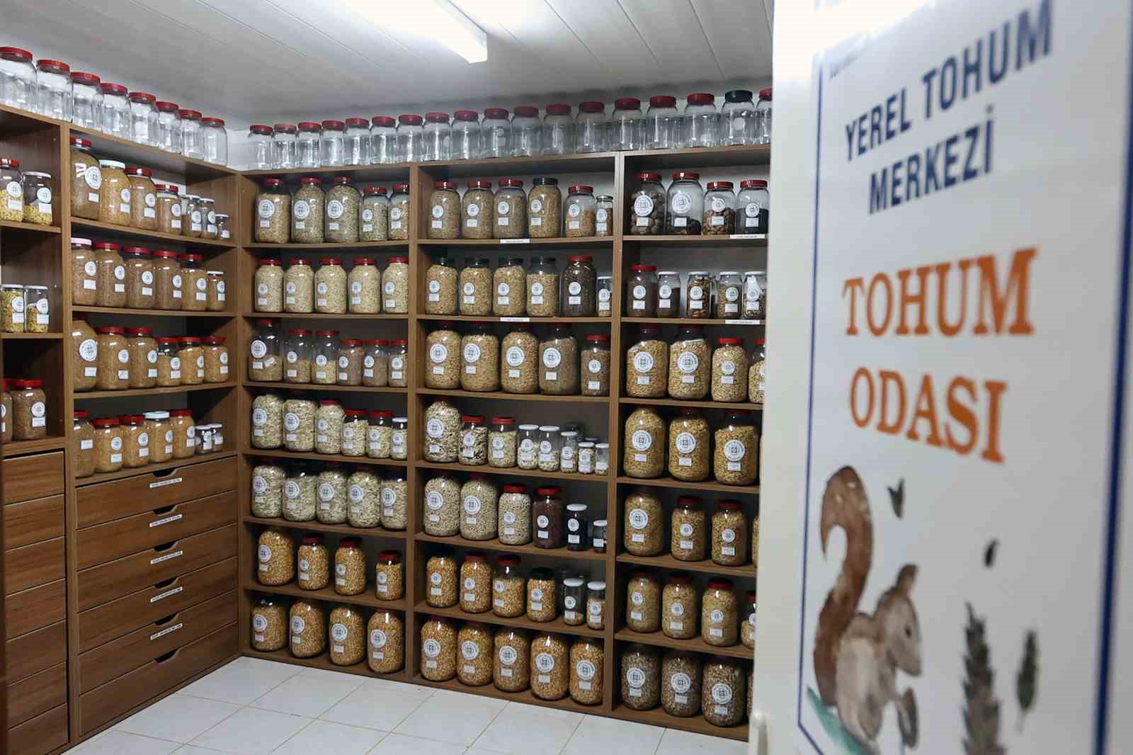 Muğla Büyükşehir 2026 yılında 3 milyon ata tohumu dağıtacak