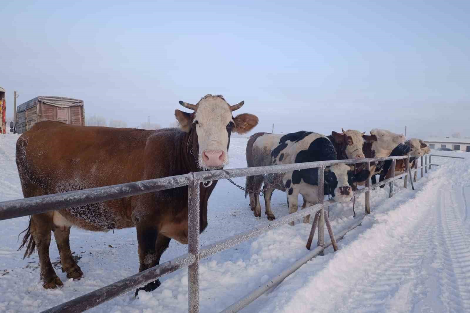 T&uuml;rkiye&rsquo;nin en b&uuml;y&uuml;k hayvan pazarı ağır kış şartları nedeniyle kapatıldı
