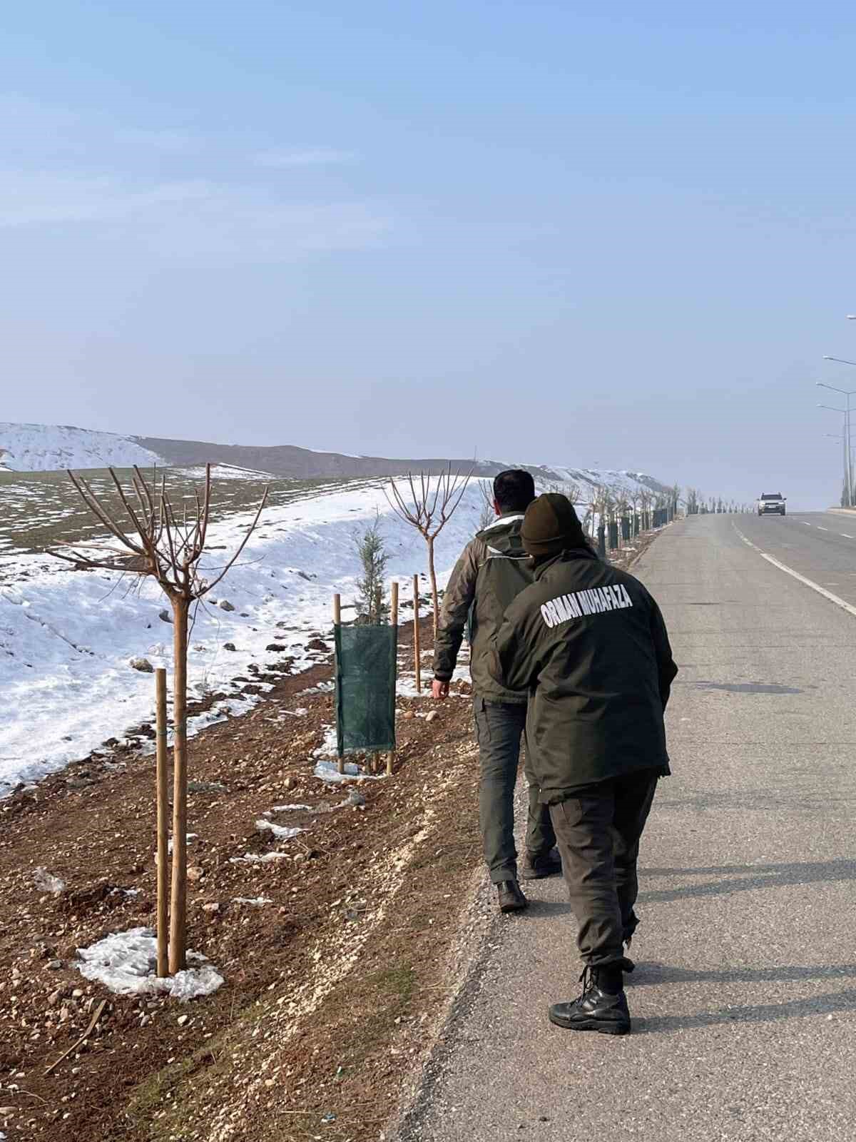 Batman&rsquo;da yaban hayatı unutulmadı
