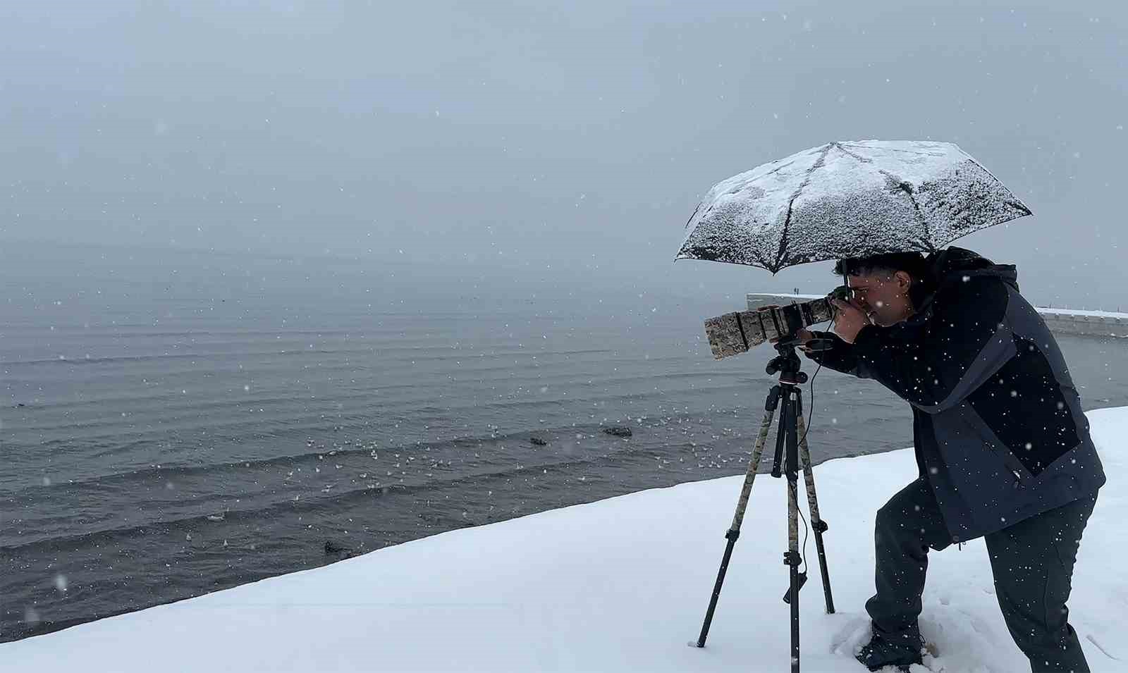 Tatvan’a kış ortasında kuş akını