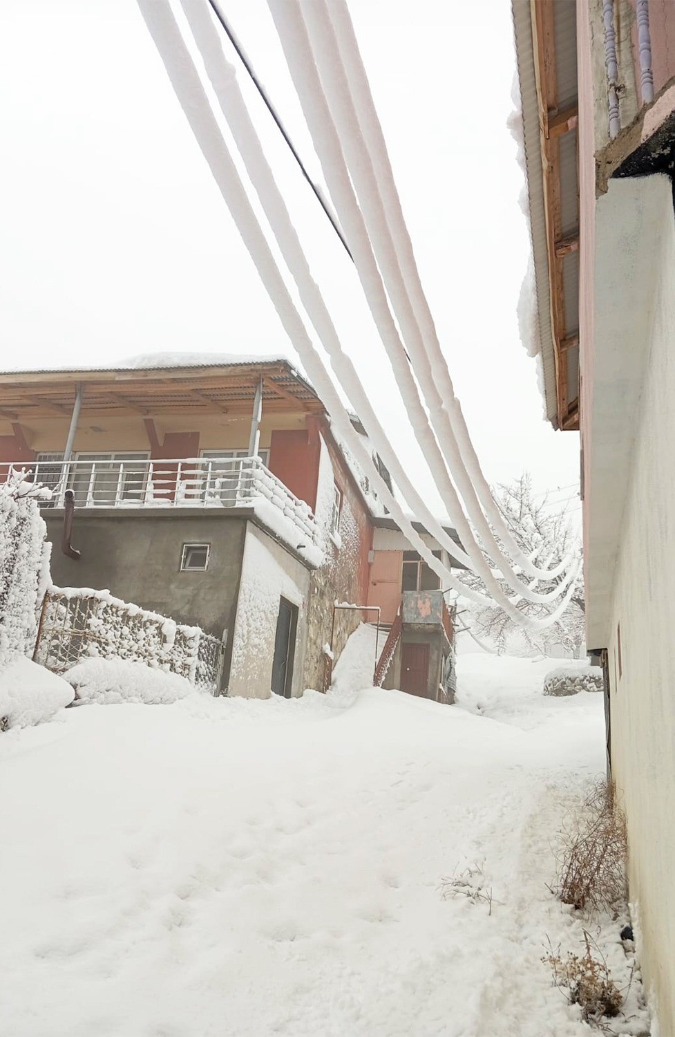 Ekipler zorlu hava şartlarında enerji hatlarını onarıyor
