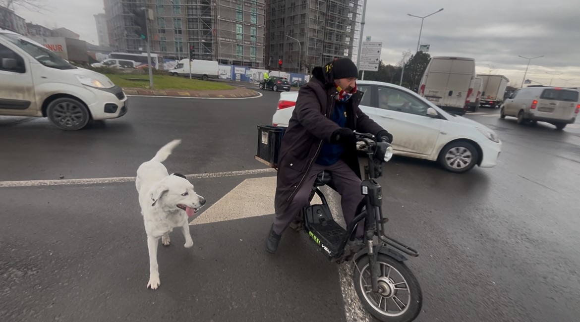 &Ccedil;arşı pazar peşinden ayrılmıyor

