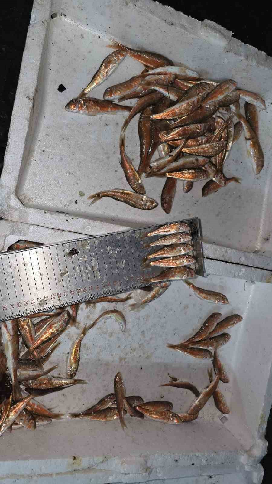 Kastamonu&rsquo;da yasa dışı avlanan 1,5 ton balığa el konuldu
