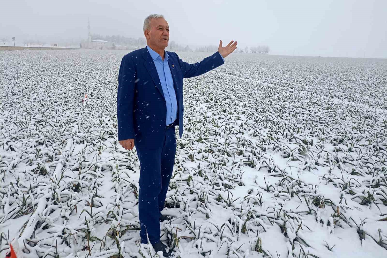 Kar yağışı sarımsak üreticisinin yüzünü güldürecek