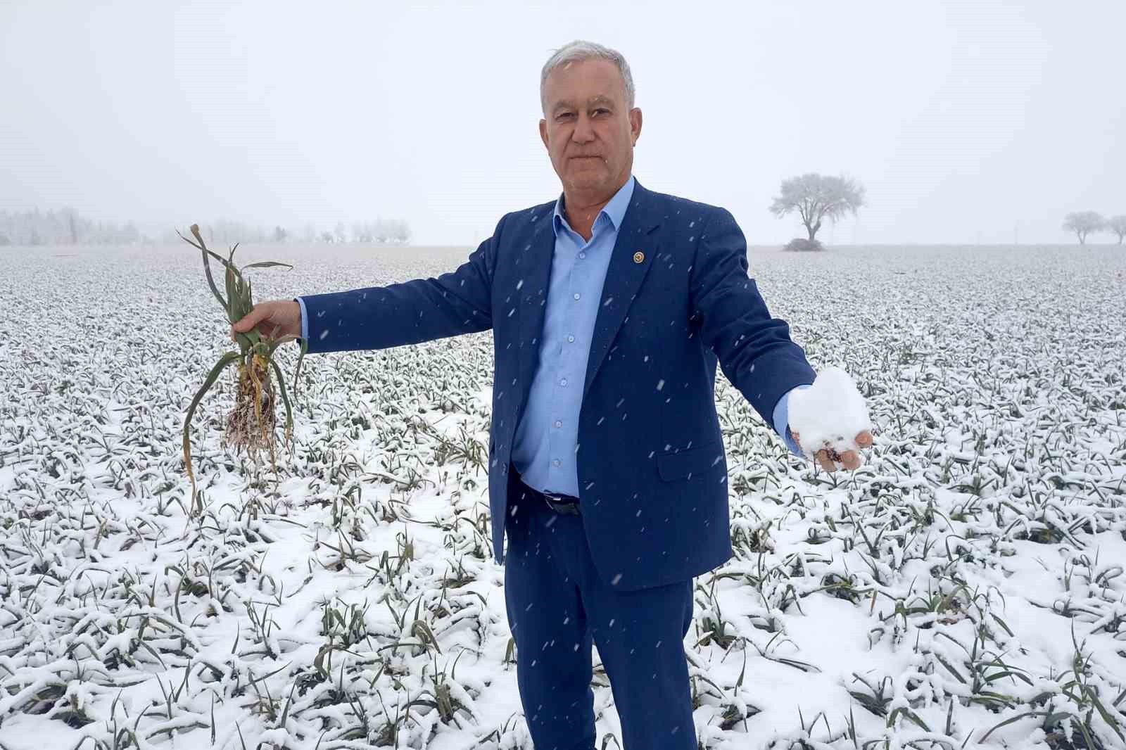 Kar yağışı sarımsak üreticisinin yüzünü güldürecek