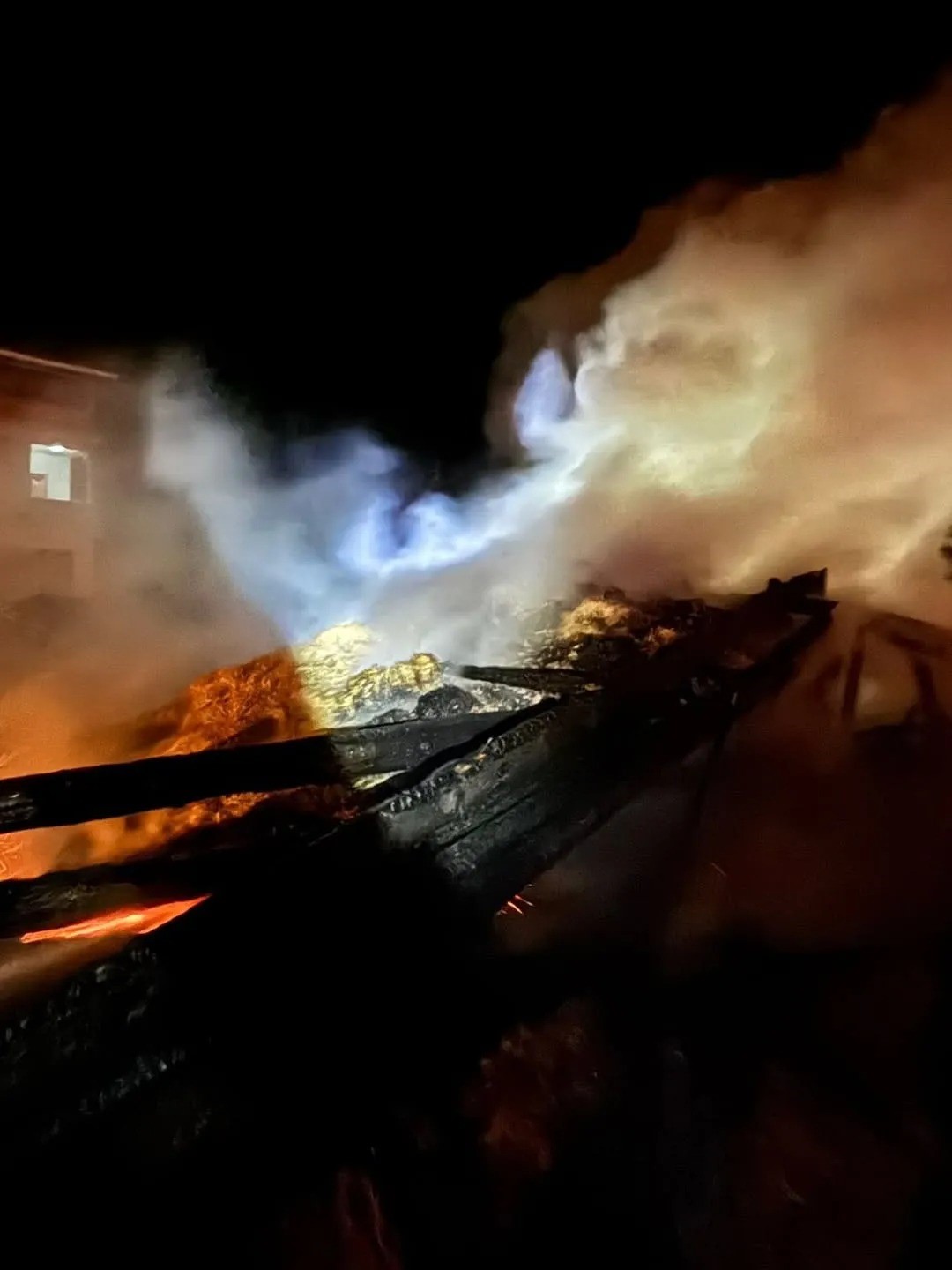 Sinop’ta samanlık yangını