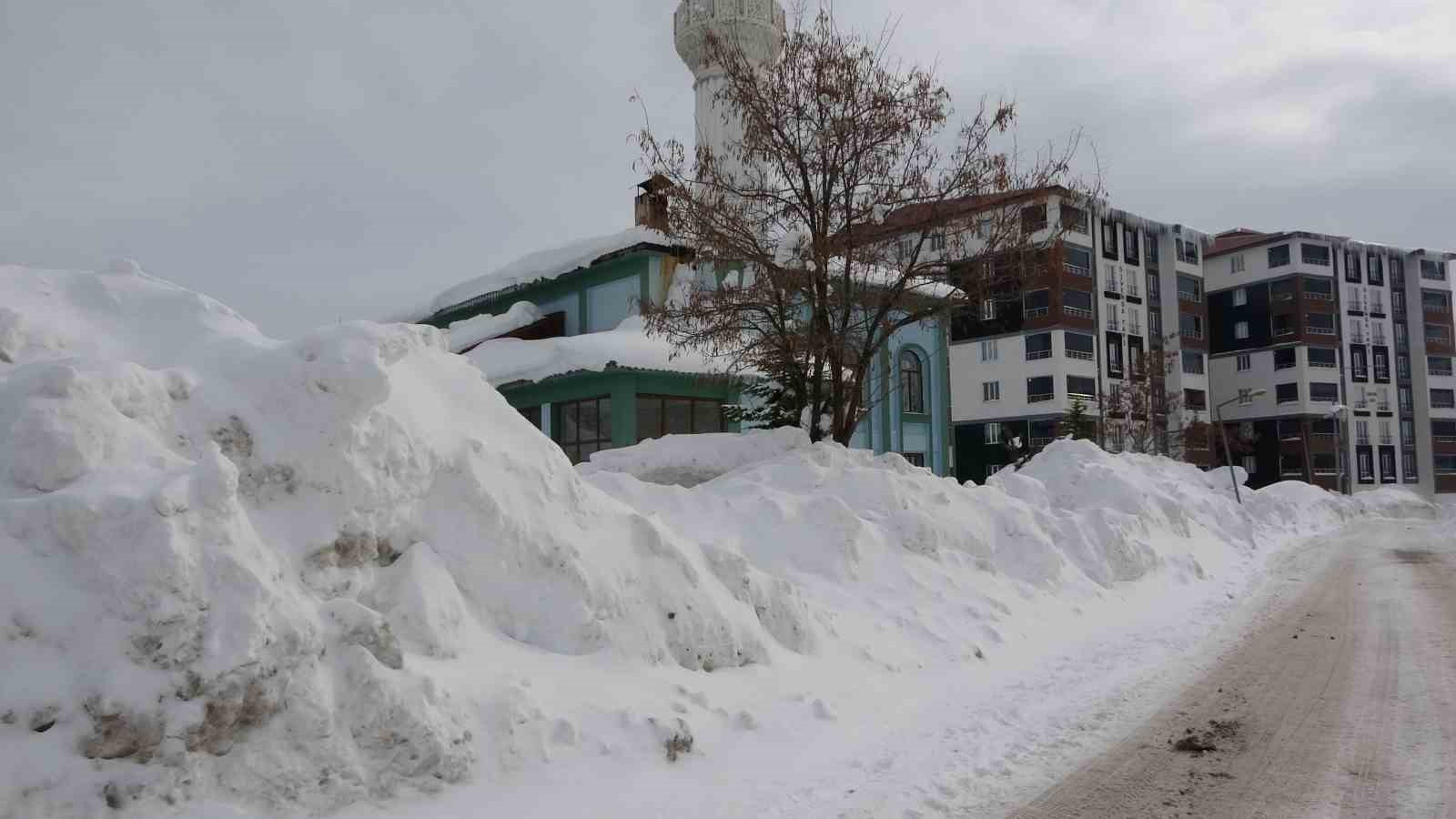 Bitlis&rsquo;te kış şartları ağırlaşıyor, 124 k&ouml;y yolu kapandı
