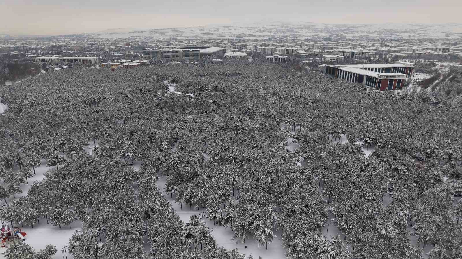 Elazığ’da beton yığınlarının arasındaki beyaz vaha mest etti