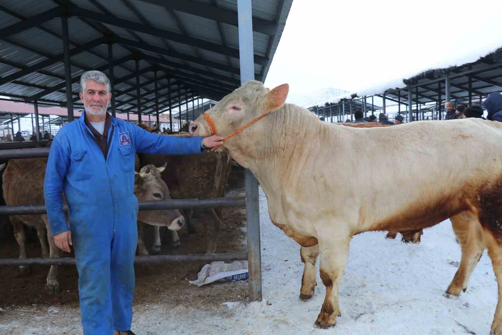 Eksi 15’de hayvan pazarı kuruldu