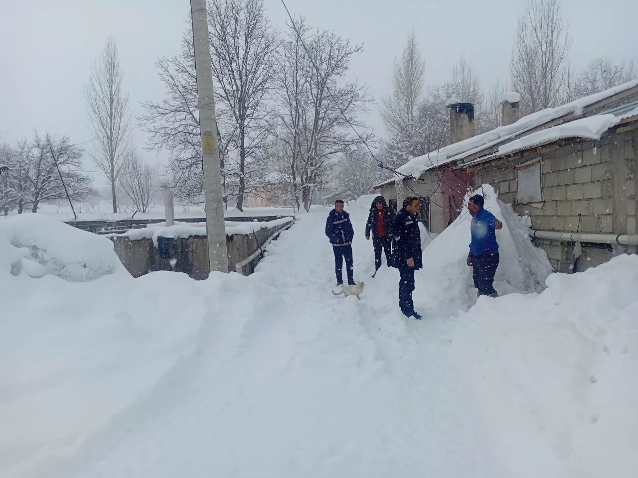 Van&rsquo;da zorlu kış şartlarında alabalık &uuml;retimi mercek altında
