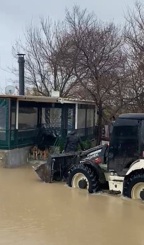 Sağanak sonrası evde mahsur kalan 4 k&ouml;pek iş makinesiyle kurtarıldı
