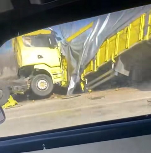 Burdur&rsquo;da limon y&uuml;k&uuml; tır şarampole devrildi
