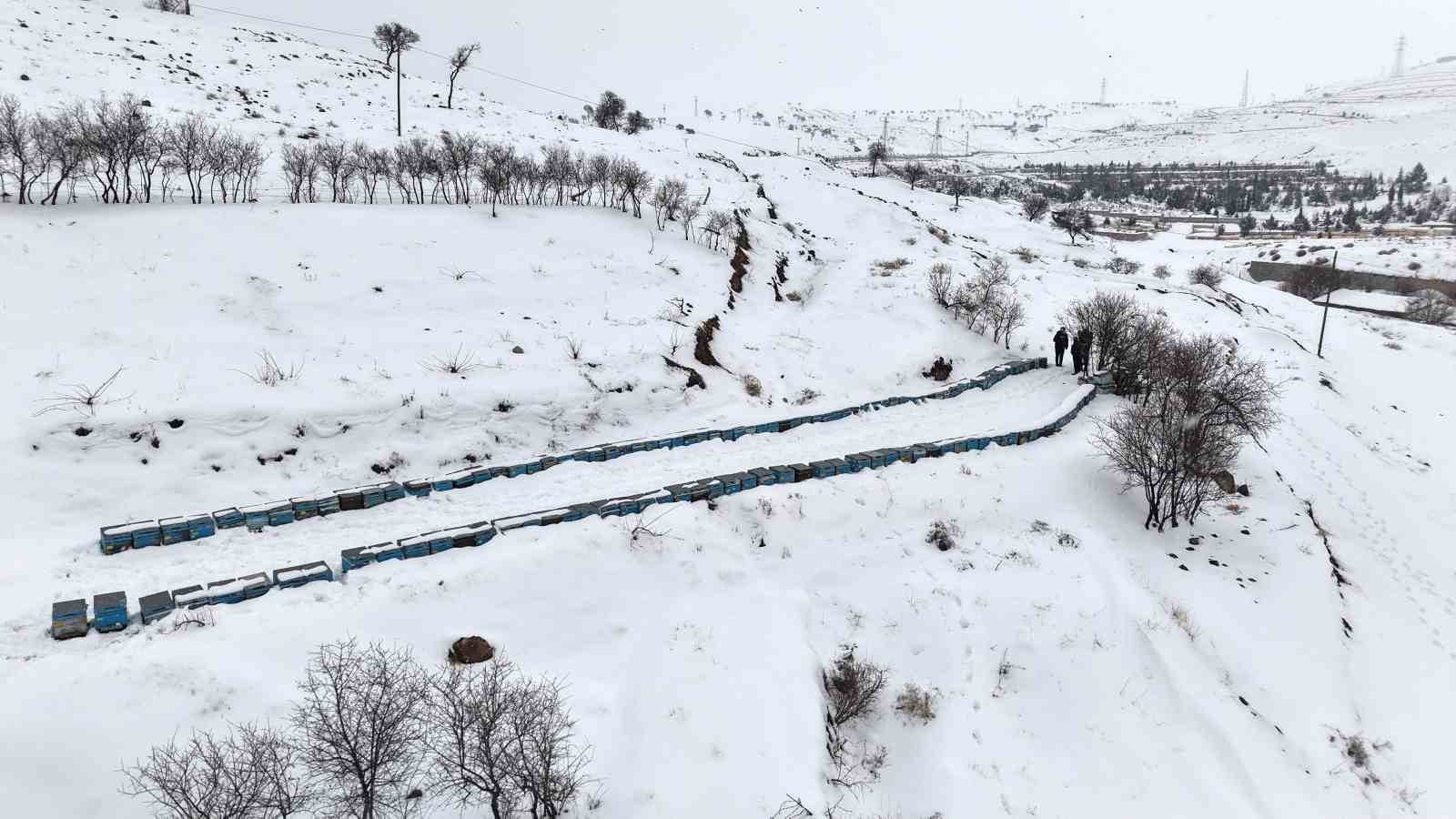 Kar yağışı, koloni kayıplarını ve hastalıkları minimuma indirdi: Arıcılar sezonundan &uuml;mitli
