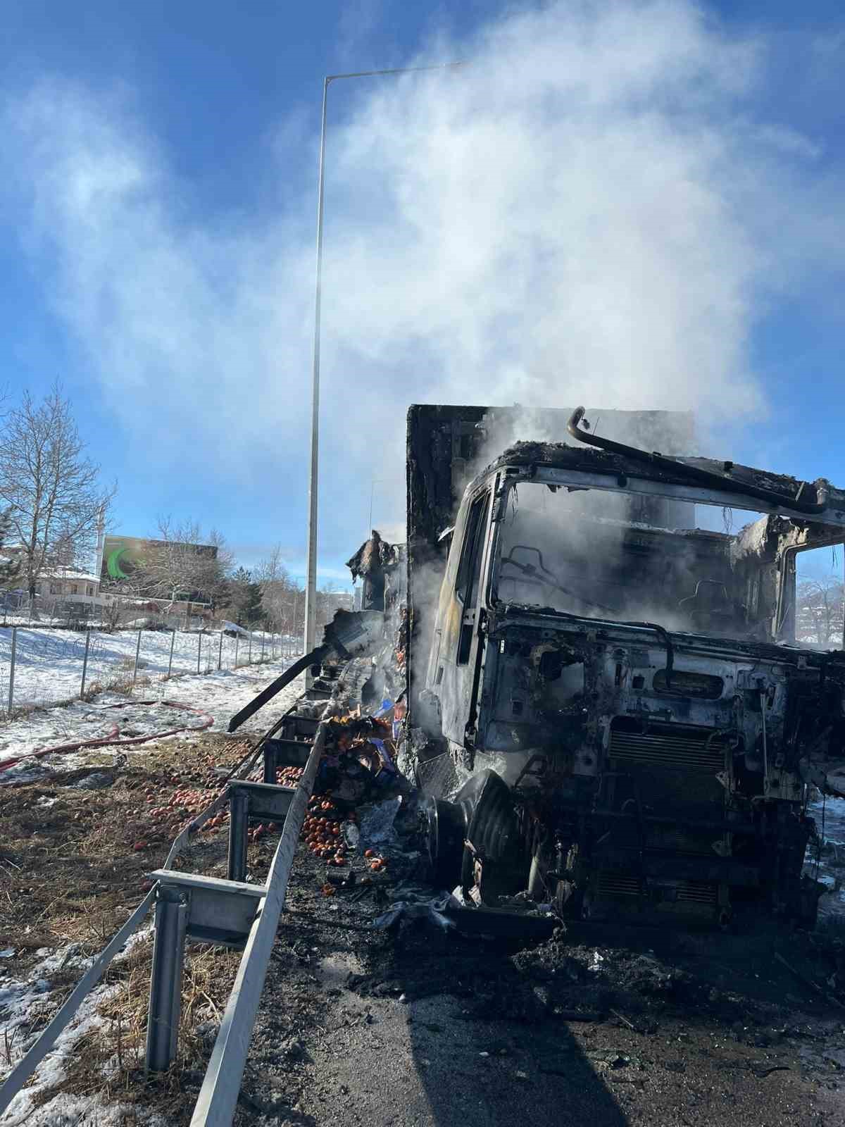 Adana-Pozantı Otoyolu’nda narenciye yüklü tır alevlere teslim oldu