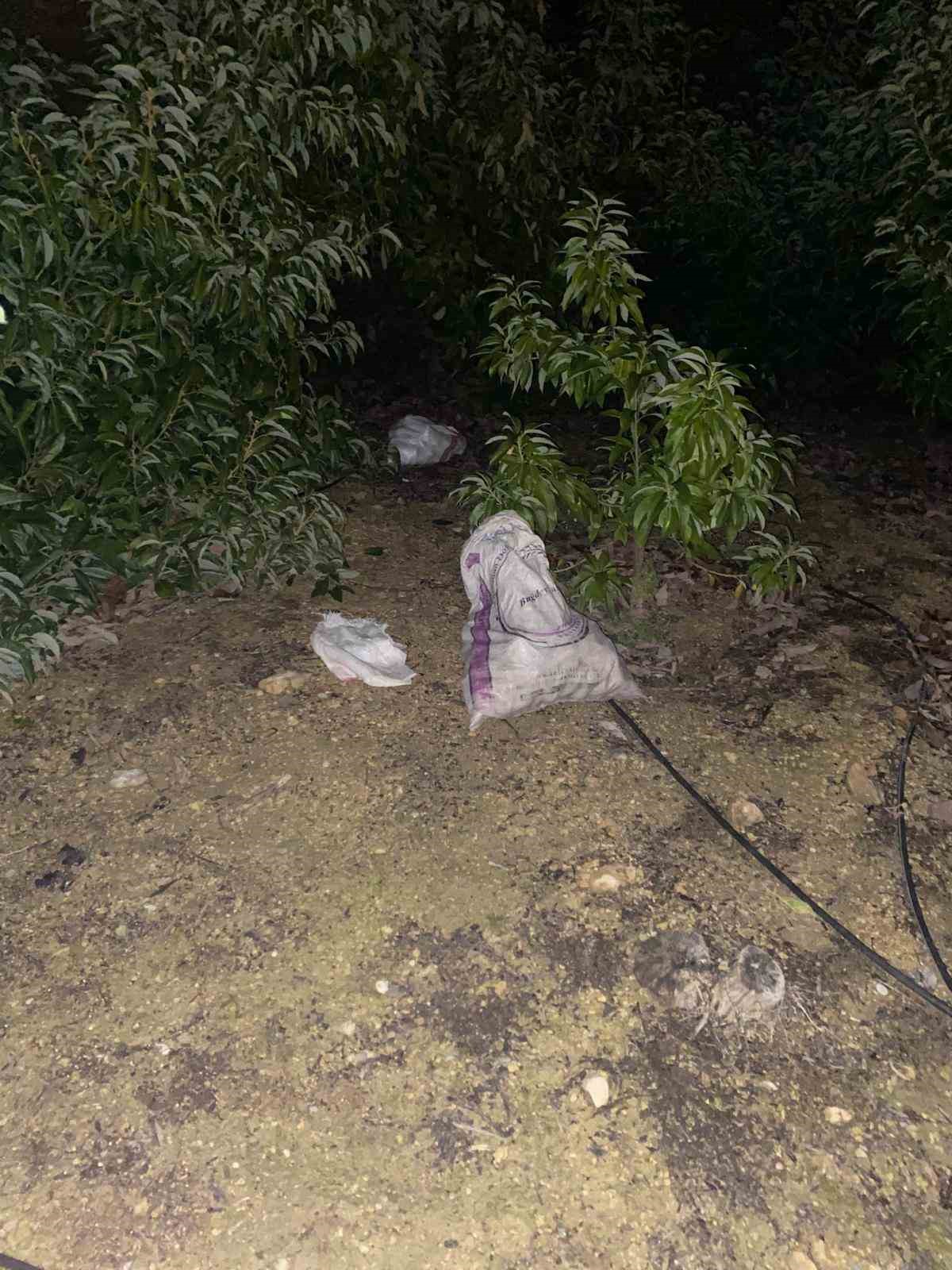 Jandarmayı görünce çaldıkları avokadoları bırakıp kaçtılar