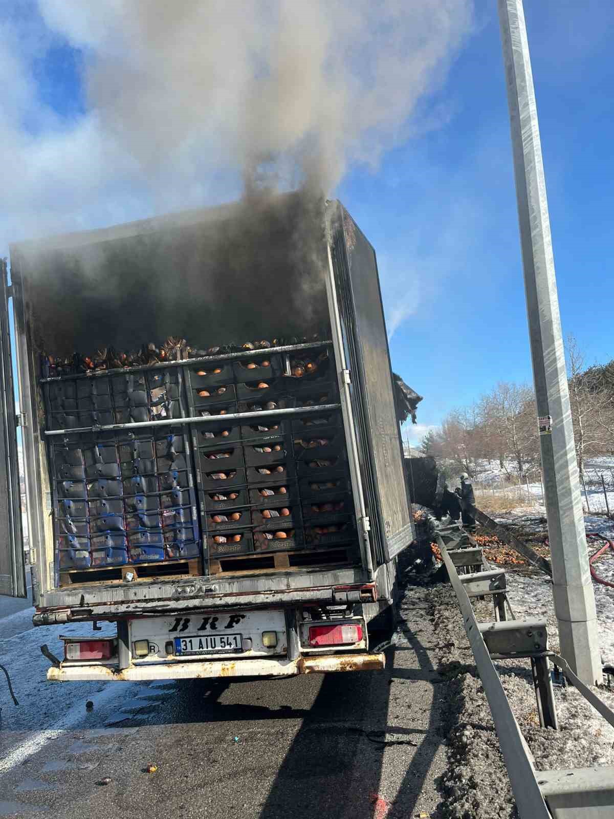 Adana-Pozantı Otoyolu’nda narenciye yüklü tır alevlere teslim oldu