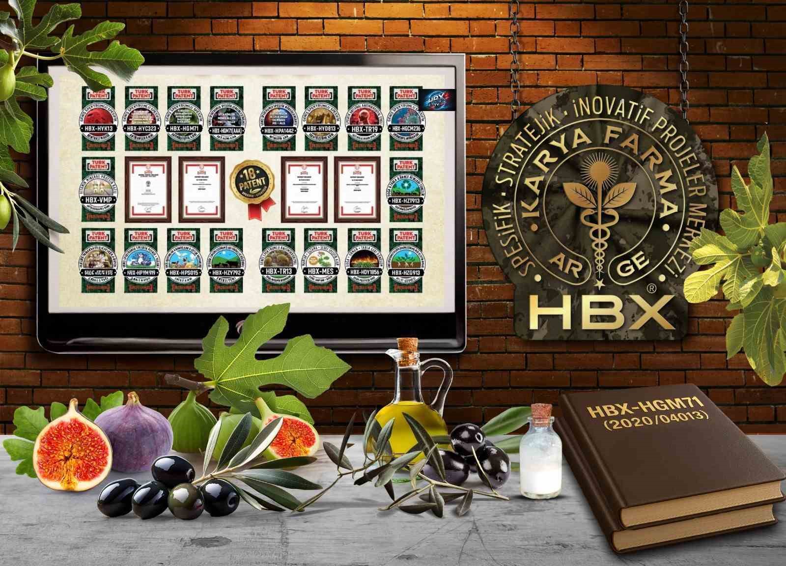 Karya Farma HBX Ar-Ge; ’İncir ve Zeytin Bilimsel Araştırmalar Akademisi’ kuracak