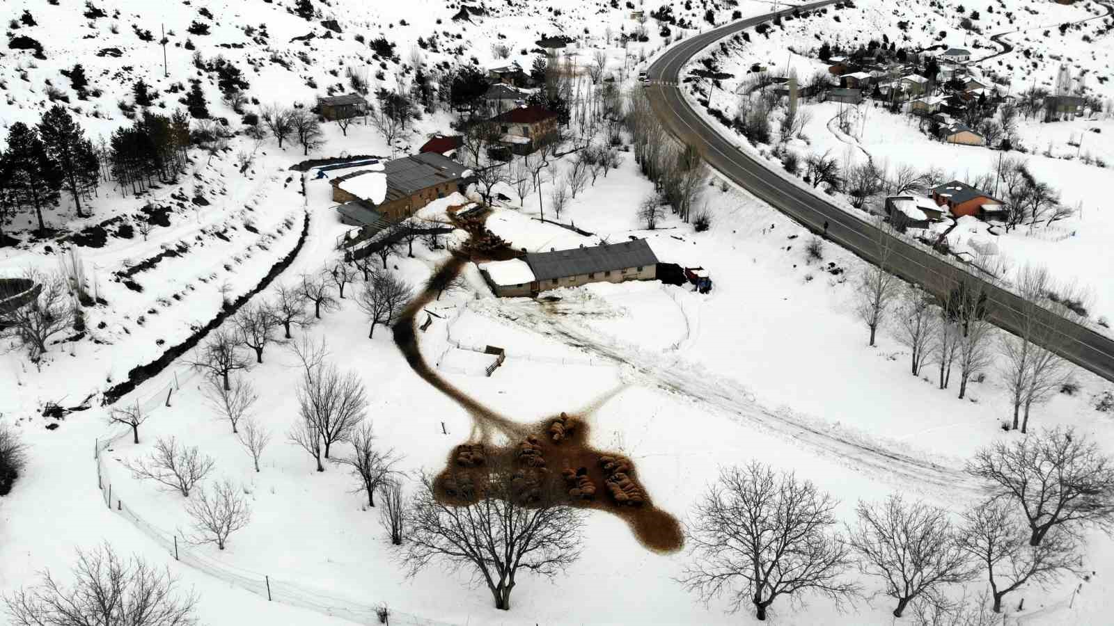 Besiciler uykusuz, kuzular güvende