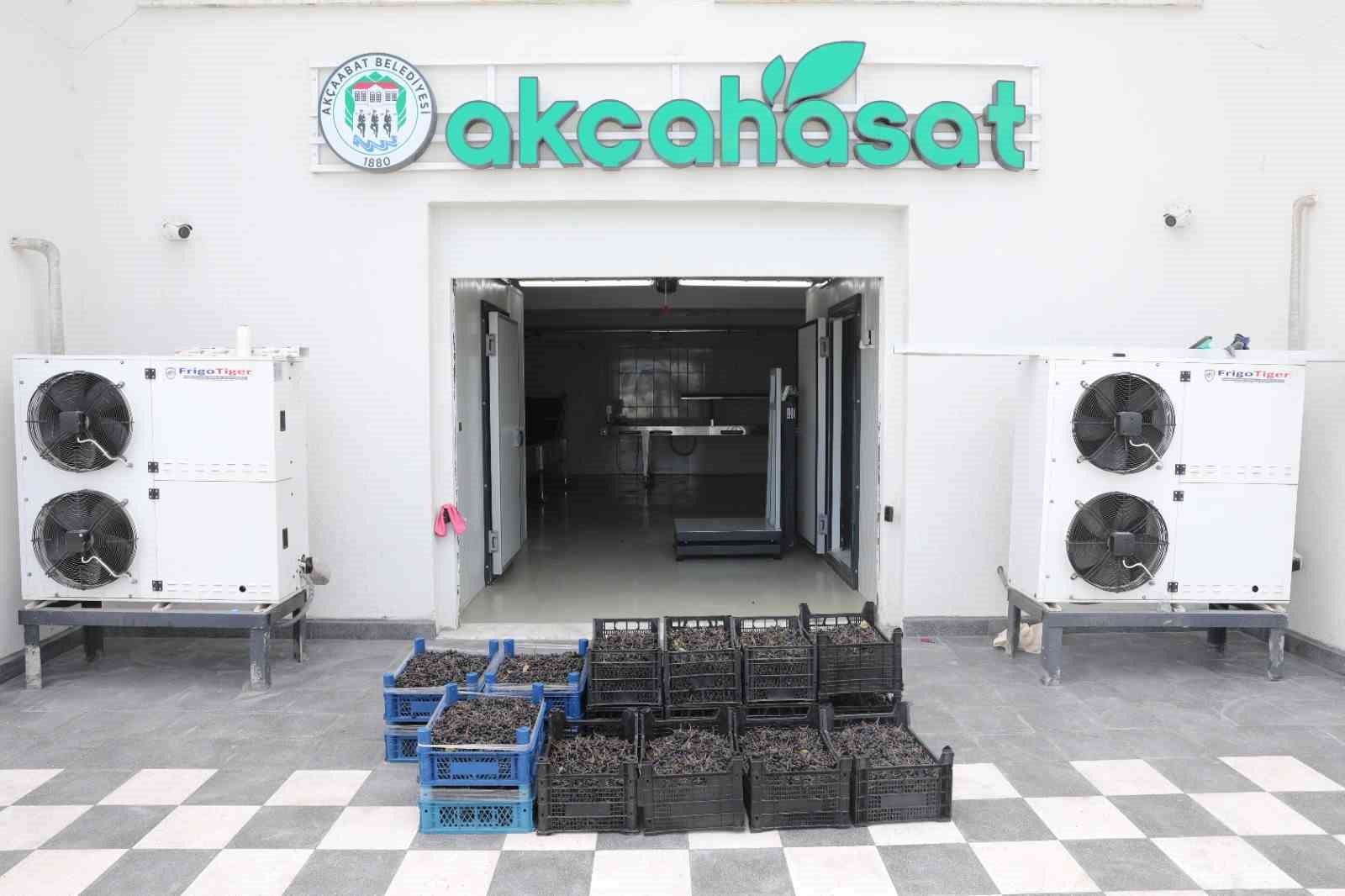 Akçaabat’ın meyve sebze fabrikasının ürünleri market raflarında yerini aldı