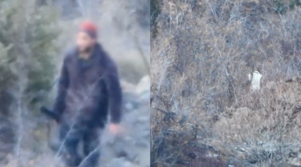 Artvin’de yasa dışı avcılığa geçit yok