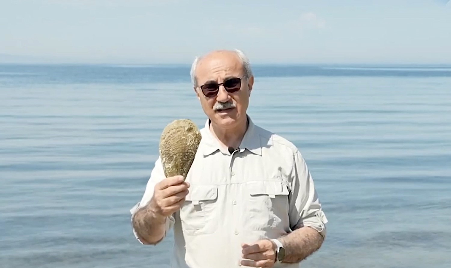 Pinalar son sığınağı Marmara’da çoğalıyor; umut oluyor