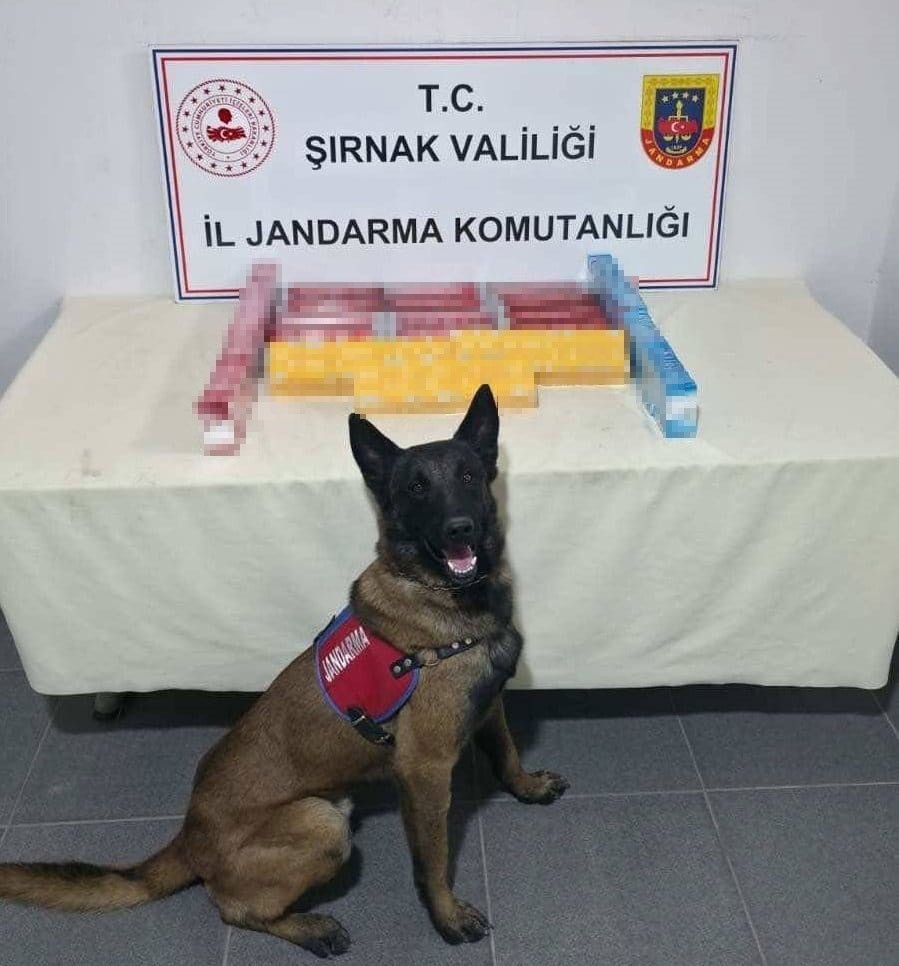 Şırnak&rsquo;ta jandarma ekiplerinden ka&ccedil;ak&ccedil;ılığa darbe
