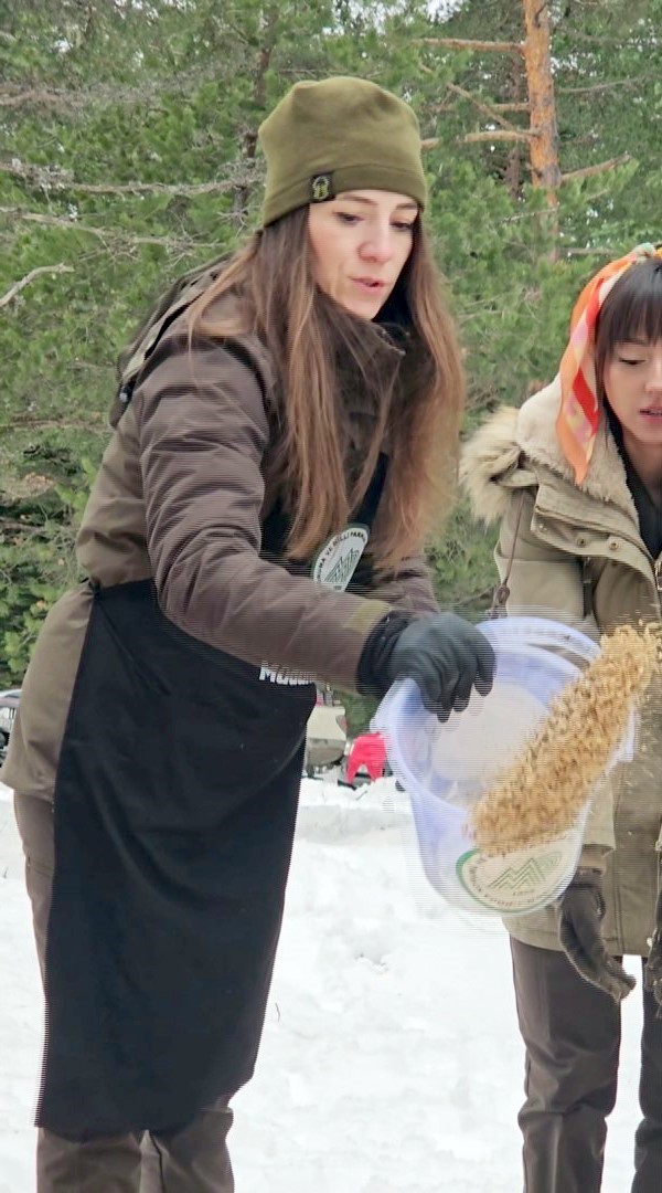 Kastamonu&rsquo;da karla kaplanan ormanlara yaban hayvanları i&ccedil;in yiyecek bırakıldı
