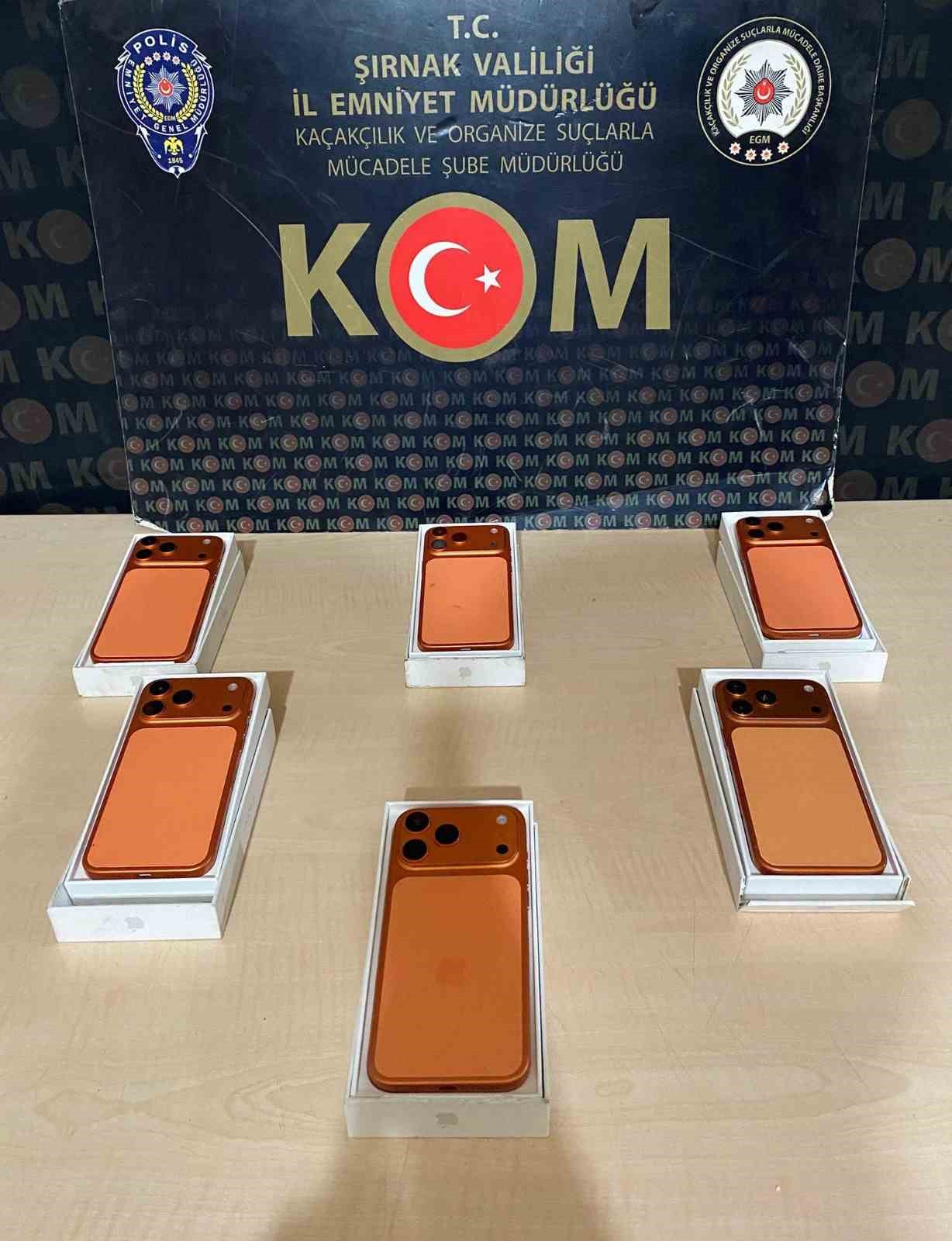 Şırnak&rsquo;ta asayiş, narkotik ve ka&ccedil;ak&ccedil;ılık operasyonu: 2 tutuklama
