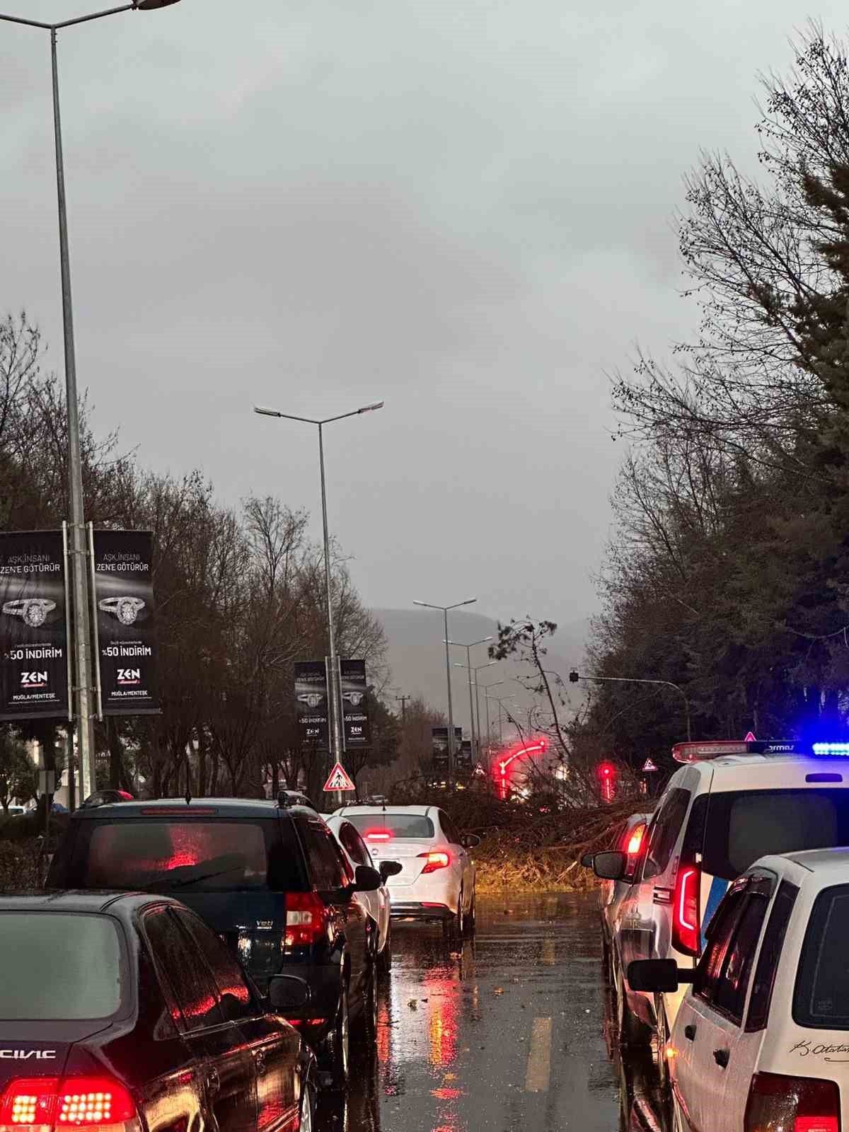Menteşe&rsquo;de şiddetli fırtınada ağa&ccedil; devrildi, trafik durdu
