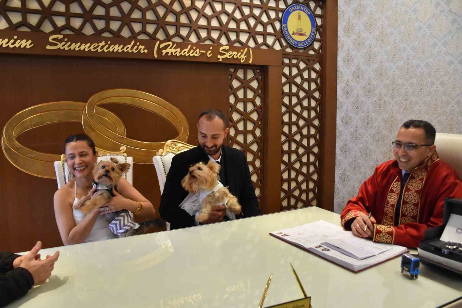 Köpekleriyle birlikte mutluluğa "evet" dediler