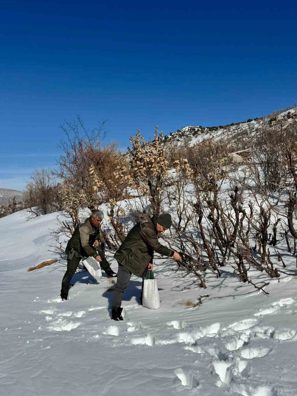 Gerc&uuml;ş&rsquo;te orman ekibi doğadaki canlıları yalnız bırakmadı
