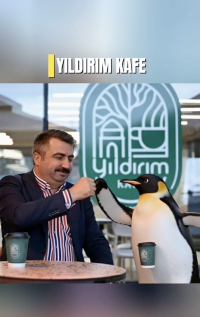 Penguen s&uuml;r&uuml;den ayrılırken belediyeler boş durmadı
