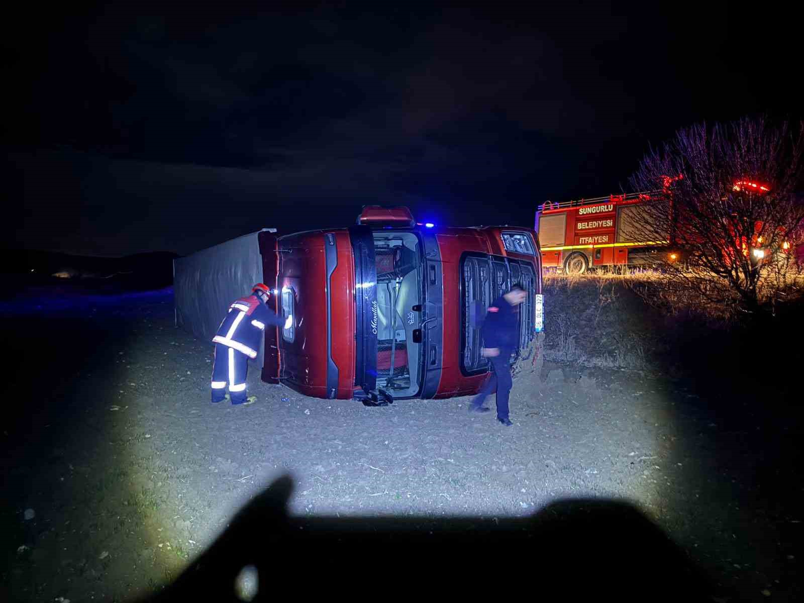 Köpeğe çarpmamak için manevra yaptı, tır şarampole devrildi: 1 yaralı