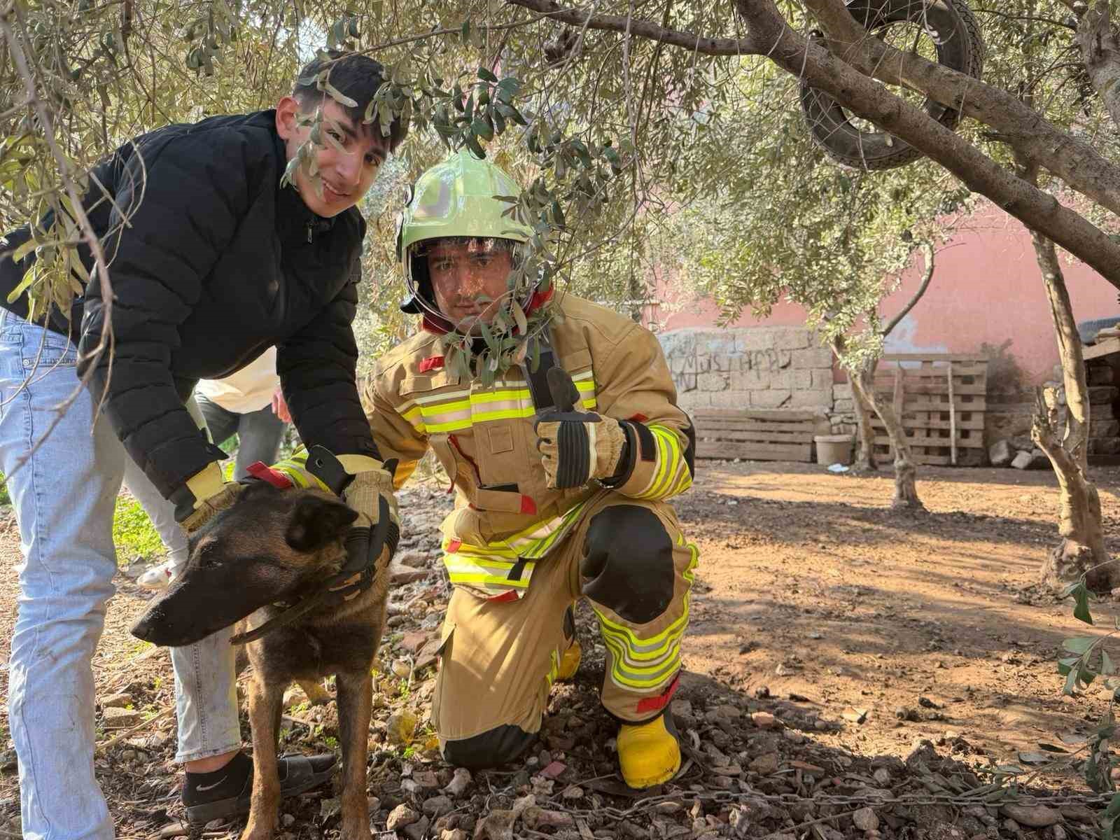 Patisi zincire sıkışan k&ouml;peğe hayat kurtaran m&uuml;dahale
