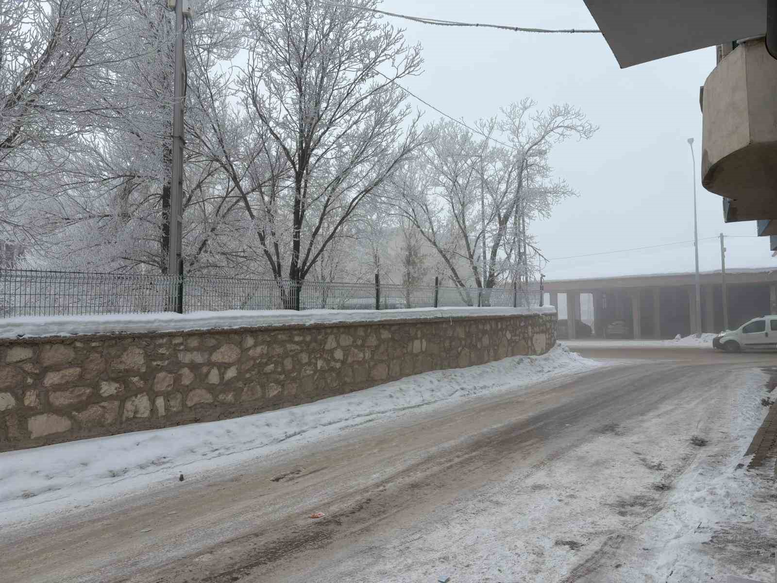 Diyadin&rsquo;de yoğun sis etkili oldu
