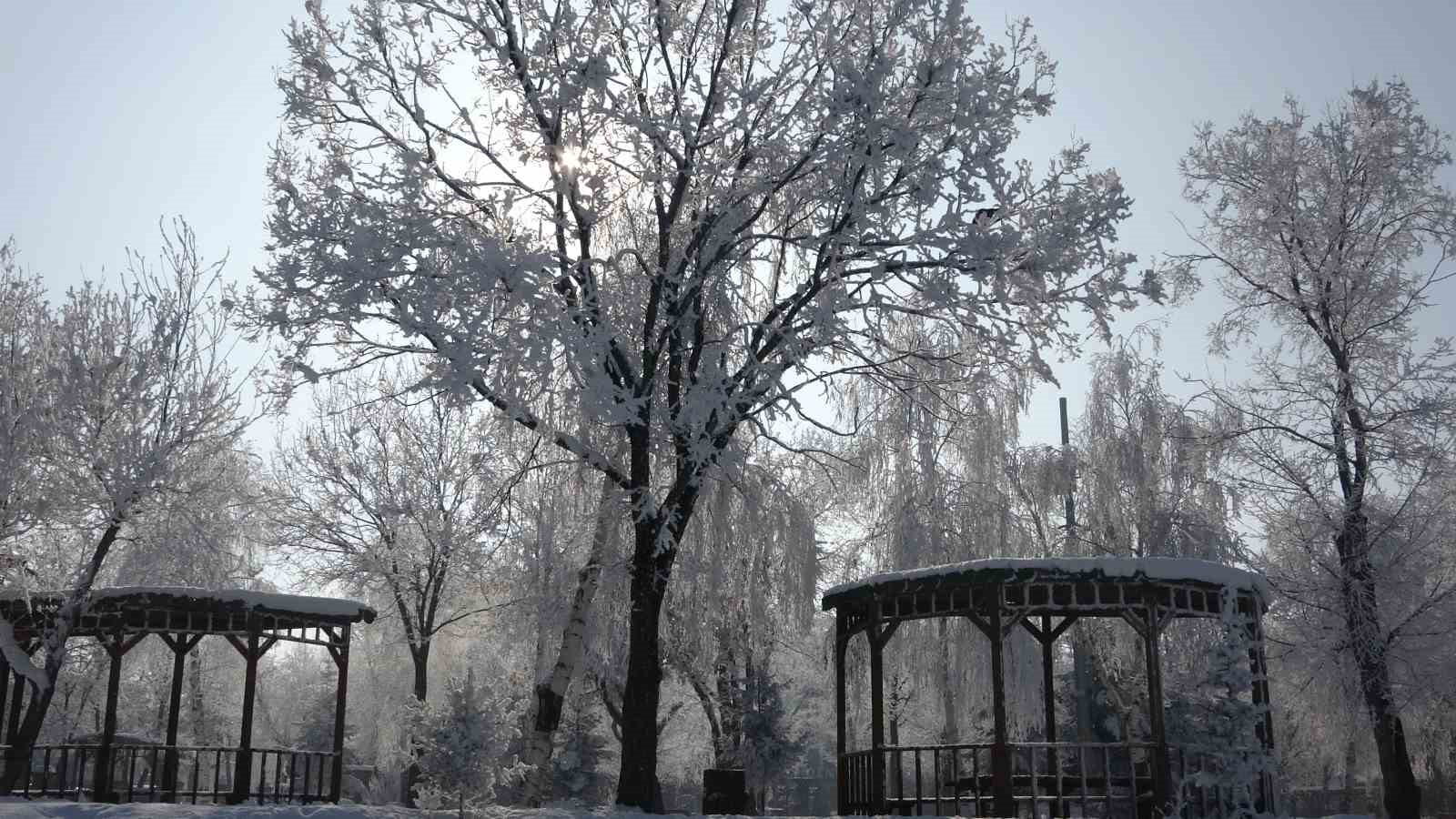 Kırağı sonrası g&ouml;rsel ş&ouml;len oluştu
