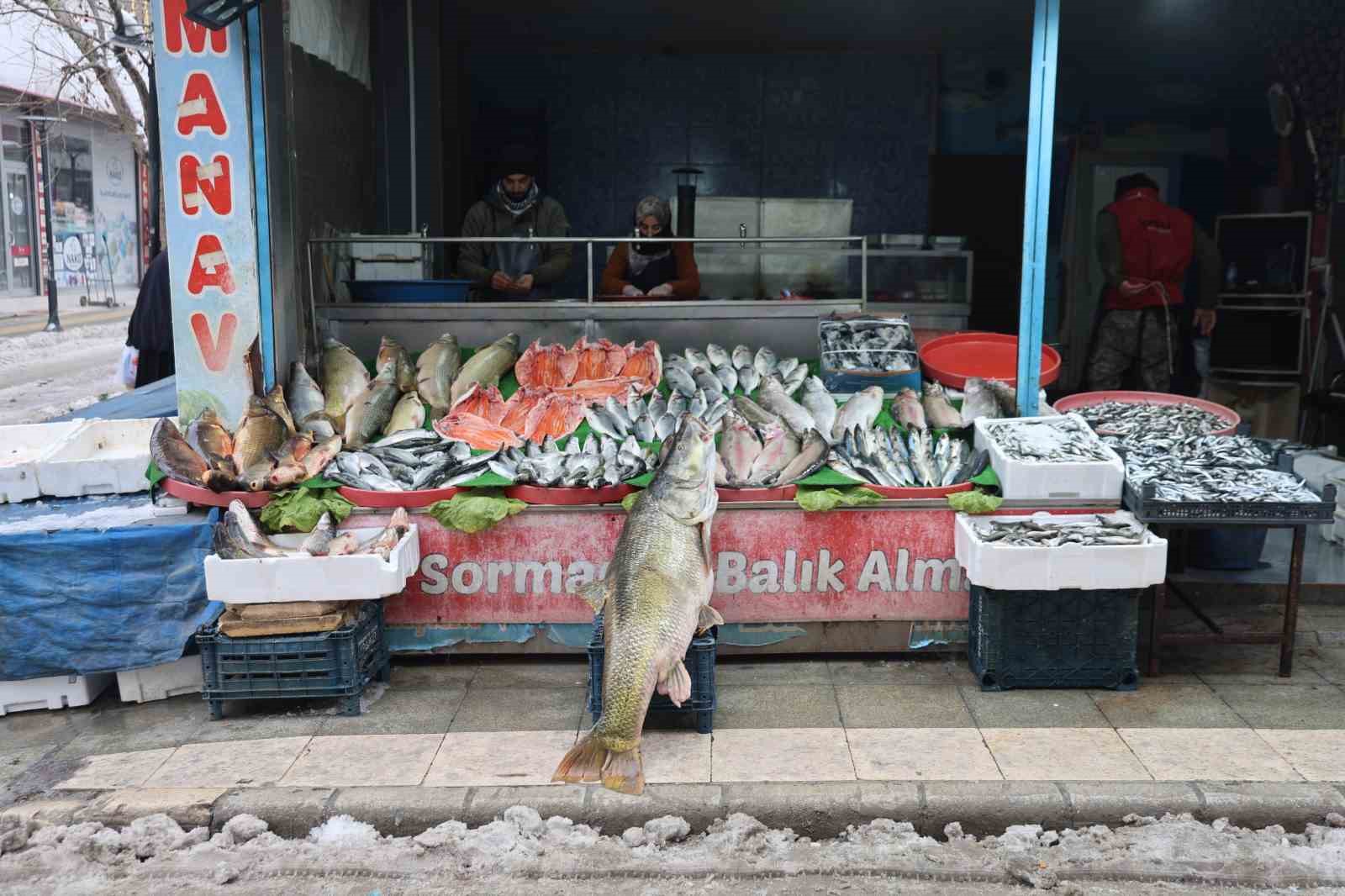 Elazığ&rsquo;da yakalanan 78 kilogram ağırlığındaki turna balığını iki kişi zor taşıdı
