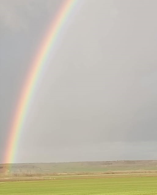 Gökkuşağı Hayrabolu semalarını süsledi