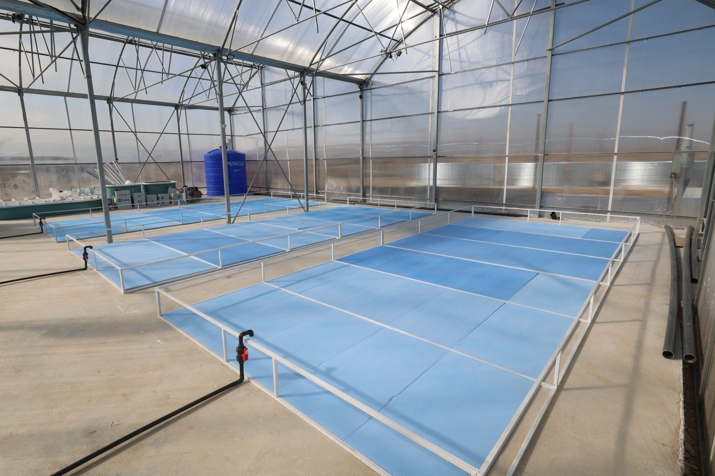 Jeotermal Su desteğiyle Tatlı Su Karidesi ve Balık Yetiştiriciliği Projesinde üretim başlıyor